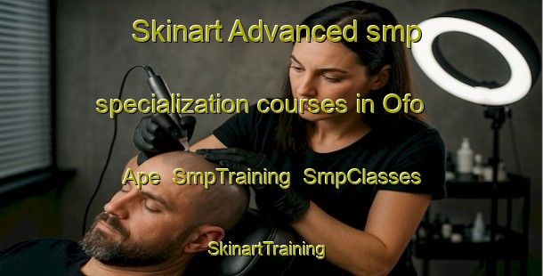 Skinart Advanced smp specialization courses in Ofo Ape | SmpTraining | SmpClasses | SkinartTraining-Nigeria