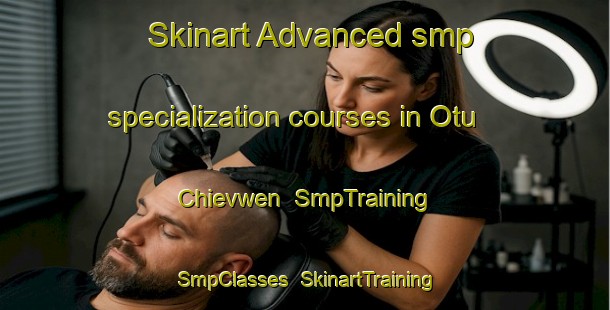 Skinart Advanced smp specialization courses in Otu Chievwen | SmpTraining | SmpClasses | SkinartTraining-Nigeria