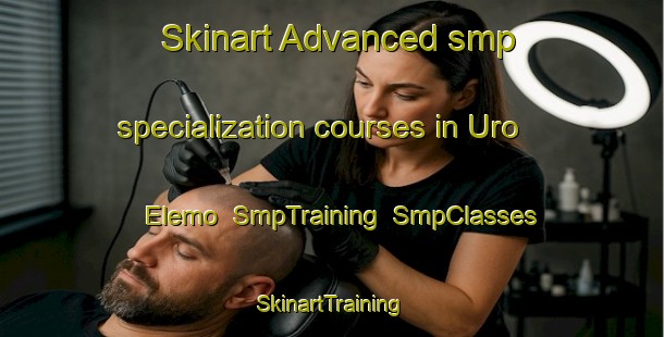 Skinart Advanced smp specialization courses in Uro Elemo | SmpTraining | SmpClasses | SkinartTraining-Nigeria
