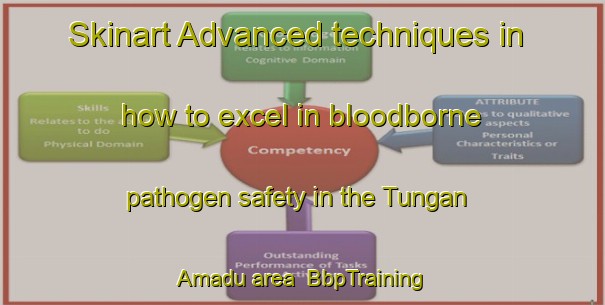 Skinart Advanced techniques in how to excel in bloodborne pathogen safety in the Tungan Amadu area | BbpTraining | BbpClasses | SkinartTraining-Nigeria
