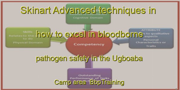 Skinart Advanced techniques in how to excel in bloodborne pathogen safety in the Ugboaba Camp area | BbpTraining | BbpClasses | SkinartTraining-Nigeria