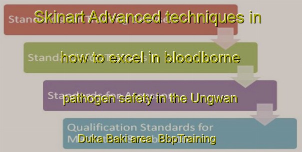 Skinart Advanced techniques in how to excel in bloodborne pathogen safety in the Ungwan Duka Baki area | BbpTraining | BbpClasses | SkinartTraining-Nigeria