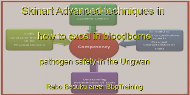 Skinart Advanced techniques in how to excel in bloodborne pathogen safety in the Ungwan Rabo Baduku area | BbpTraining | BbpClasses | SkinartTraining-Nigeria