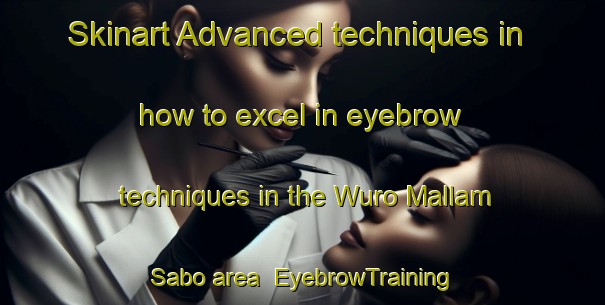 Skinart Advanced techniques in how to excel in eyebrow techniques in the Wuro Mallam Sabo area | EyebrowTraining | EyebrowClasses | SkinartTraining-Nigeria