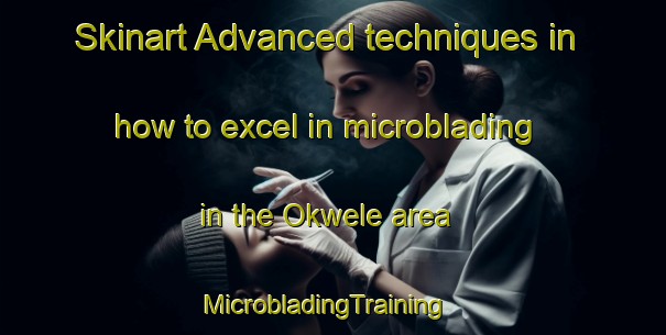 Skinart Advanced techniques in how to excel in microblading in the Okwele area | MicrobladingTraining | MicrobladingClasses | SkinartTraining-Nigeria