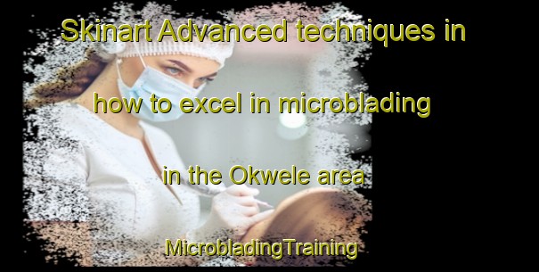 Skinart Advanced techniques in how to excel in microblading in the Okwele area | MicrobladingTraining | MicrobladingClasses | SkinartTraining-Nigeria