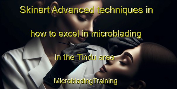 Skinart Advanced techniques in how to excel in microblading in the Tindu area | MicrobladingTraining | MicrobladingClasses | SkinartTraining-Nigeria