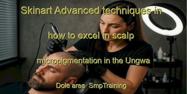 Skinart Advanced techniques in how to excel in scalp micropigmentation in the Ungwa Dole area | SmpTraining | SmpClasses | SkinartTraining-Nigeria