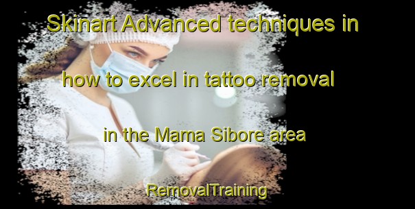 Skinart Advanced techniques in how to excel in tattoo removal in the Mama Sibore area | RemovalTraining | RemovalClasses | SkinartTraining-Nigeria