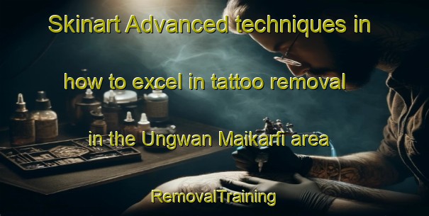 Skinart Advanced techniques in how to excel in tattoo removal in the Ungwan Maikarfi area | RemovalTraining | RemovalClasses | SkinartTraining-Nigeria