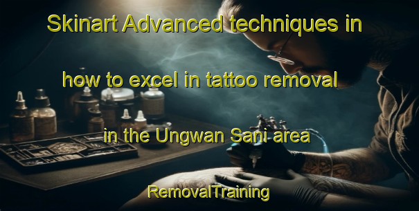 Skinart Advanced techniques in how to excel in tattoo removal in the Ungwan Sani area | RemovalTraining | RemovalClasses | SkinartTraining-Nigeria