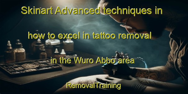 Skinart Advanced techniques in how to excel in tattoo removal in the Wuro Abbo area | RemovalTraining | RemovalClasses | SkinartTraining-Nigeria