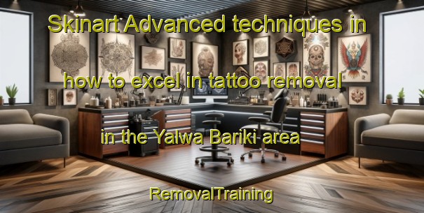 Skinart Advanced techniques in how to excel in tattoo removal in the Yalwa Bariki area | RemovalTraining | RemovalClasses | SkinartTraining-Nigeria