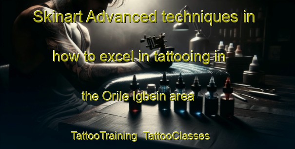 Skinart Advanced techniques in how to excel in tattooing in the Orile Igbein area | TattooTraining | TattooClasses | SkinartTraining-Nigeria