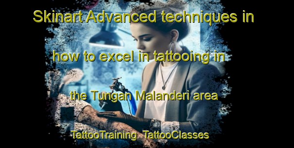 Skinart Advanced techniques in how to excel in tattooing in the Tungan Malanderi area | TattooTraining | TattooClasses | SkinartTraining-Nigeria