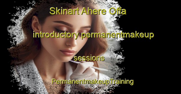 Skinart Ahere Offa introductory permanentmakeup sessions | PermanentmakeupTraining | PermanentmakeupClasses | SkinartTraining-Nigeria