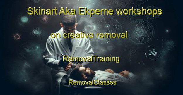 Skinart Aka Ekpeme workshops on creative removal | RemovalTraining | RemovalClasses | SkinartTraining-Nigeria