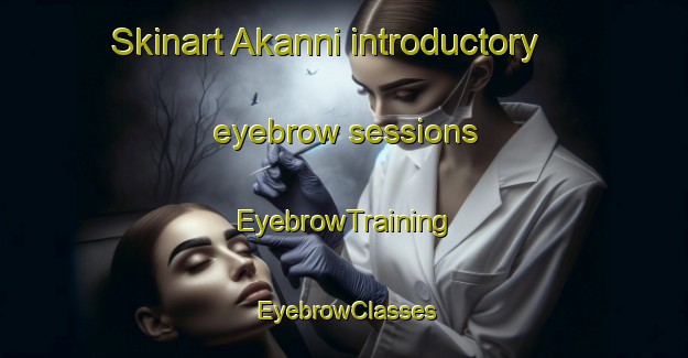 Skinart Akanni introductory eyebrow sessions | EyebrowTraining | EyebrowClasses | SkinartTraining-Nigeria