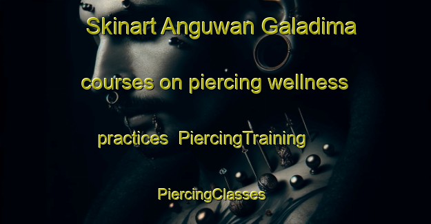 Skinart Anguwan Galadima courses on piercing wellness practices | PiercingTraining | PiercingClasses | SkinartTraining-Nigeria