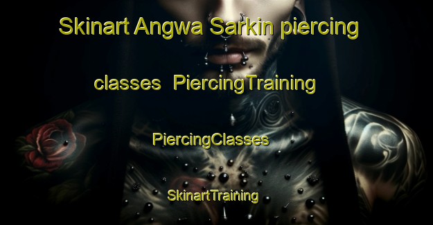 Skinart Angwa Sarkin piercing classes | PiercingTraining | PiercingClasses | SkinartTraining-Nigeria