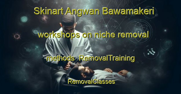 Skinart Angwan Bawamakeri workshops on niche removal methods | RemovalTraining | RemovalClasses | SkinartTraining-Nigeria