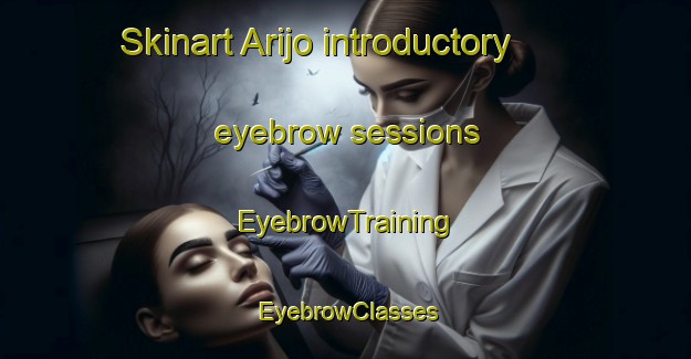Skinart Arijo introductory eyebrow sessions | EyebrowTraining | EyebrowClasses | SkinartTraining-Nigeria
