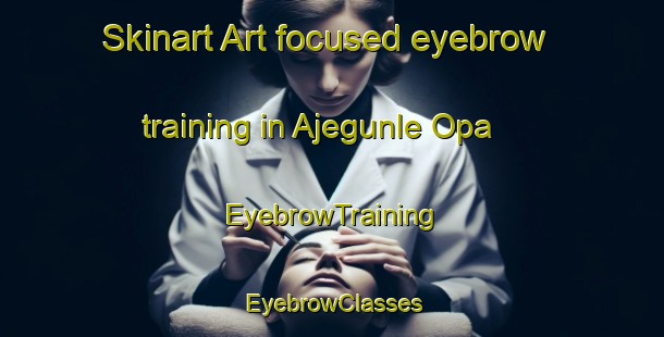 Skinart Art-focused eyebrow training in Ajegunle Opa | EyebrowTraining | EyebrowClasses | SkinartTraining-Nigeria