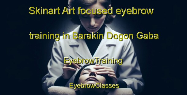Skinart Art-focused eyebrow training in Barakin Dogon Gaba | EyebrowTraining | EyebrowClasses | SkinartTraining-Nigeria