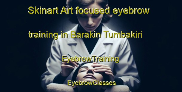Skinart Art-focused eyebrow training in Barakin Tumbakiri | EyebrowTraining | EyebrowClasses | SkinartTraining-Nigeria