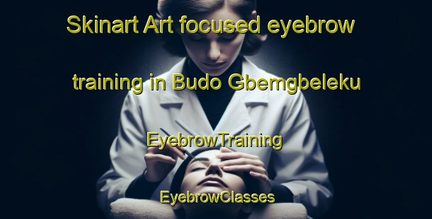 Skinart Art-focused eyebrow training in Budo Gbemgbeleku | EyebrowTraining | EyebrowClasses | SkinartTraining-Nigeria