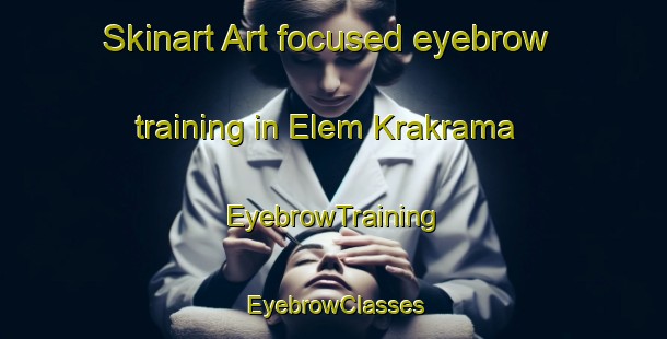 Skinart Art-focused eyebrow training in Elem Krakrama | EyebrowTraining | EyebrowClasses | SkinartTraining-Nigeria