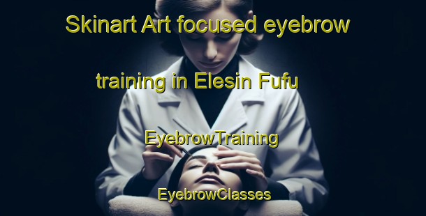Skinart Art-focused eyebrow training in Elesin Fufu | EyebrowTraining | EyebrowClasses | SkinartTraining-Nigeria