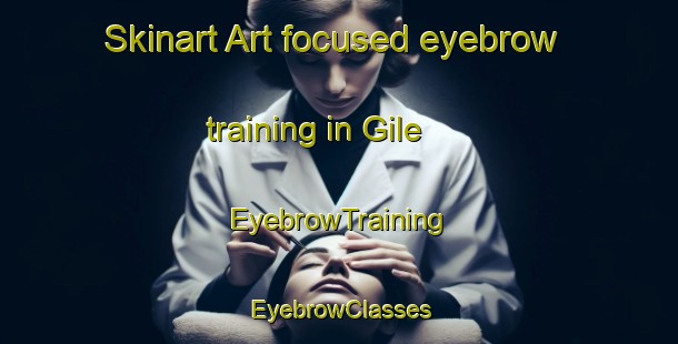 Skinart Art-focused eyebrow training in Gile | EyebrowTraining | EyebrowClasses | SkinartTraining-Nigeria