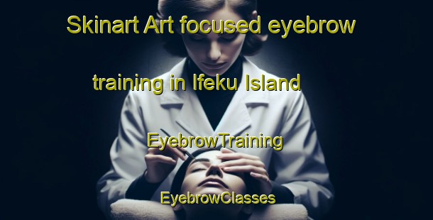 Skinart Art-focused eyebrow training in Ifeku Island | EyebrowTraining | EyebrowClasses | SkinartTraining-Nigeria