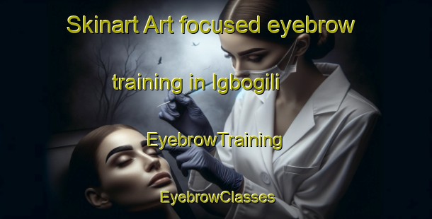 Skinart Art-focused eyebrow training in Igbogili | EyebrowTraining | EyebrowClasses | SkinartTraining-Nigeria