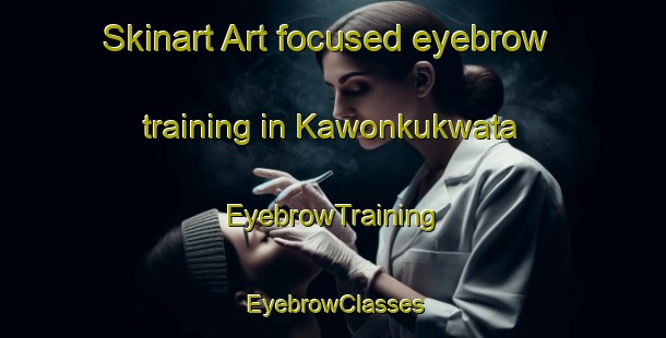 Skinart Art-focused eyebrow training in Kawonkukwata | EyebrowTraining | EyebrowClasses | SkinartTraining-Nigeria