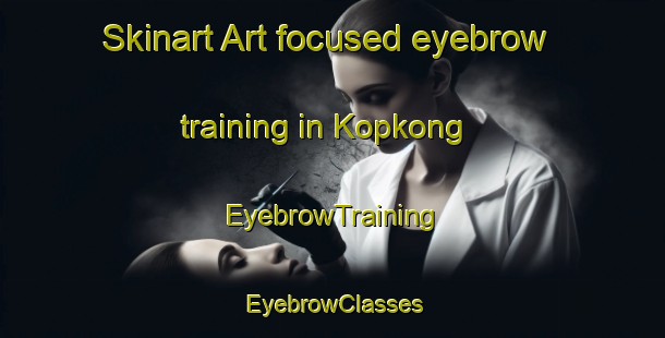Skinart Art-focused eyebrow training in Kopkong | EyebrowTraining | EyebrowClasses | SkinartTraining-Nigeria