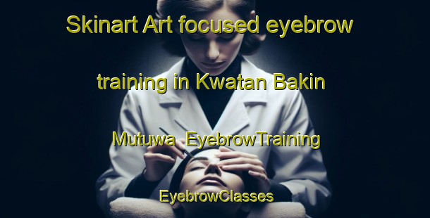 Skinart Art-focused eyebrow training in Kwatan Bakin Mutuwa | EyebrowTraining | EyebrowClasses | SkinartTraining-Nigeria