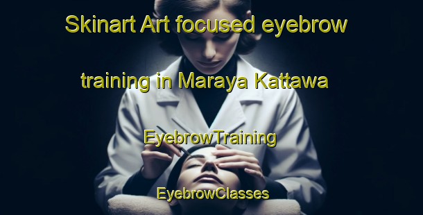 Skinart Art-focused eyebrow training in Maraya Kattawa | EyebrowTraining | EyebrowClasses | SkinartTraining-Nigeria