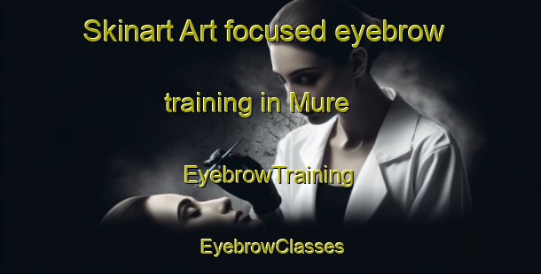 Skinart Art-focused eyebrow training in Mure | EyebrowTraining | EyebrowClasses | SkinartTraining-Nigeria