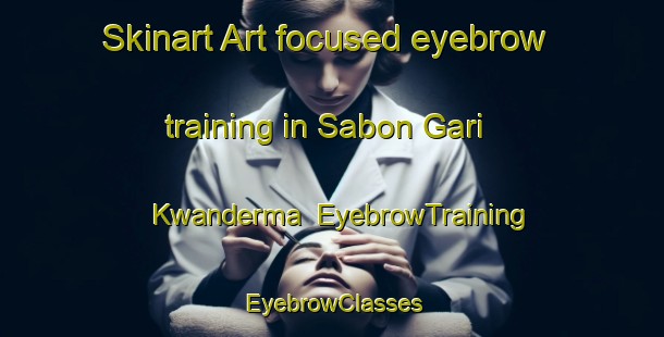 Skinart Art-focused eyebrow training in Sabon Gari Kwanderma | EyebrowTraining | EyebrowClasses | SkinartTraining-Nigeria
