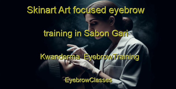 Skinart Art-focused eyebrow training in Sabon Gari Kwanderma | EyebrowTraining | EyebrowClasses | SkinartTraining-Nigeria