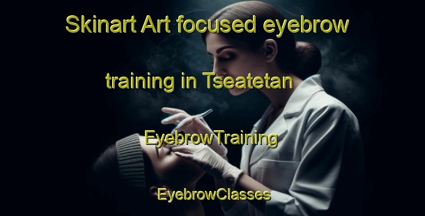 Skinart Art-focused eyebrow training in Tseatetan | EyebrowTraining | EyebrowClasses | SkinartTraining-Nigeria
