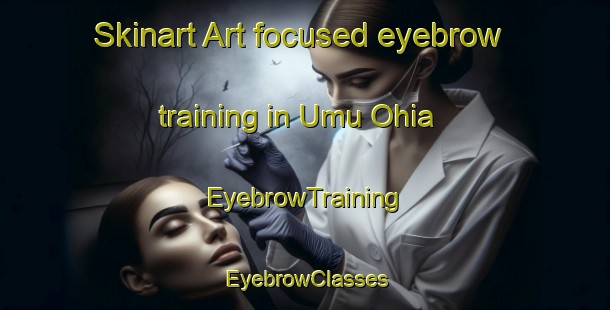 Skinart Art-focused eyebrow training in Umu Ohia | EyebrowTraining | EyebrowClasses | SkinartTraining-Nigeria