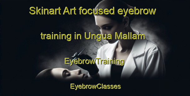 Skinart Art-focused eyebrow training in Ungua Mallam | EyebrowTraining | EyebrowClasses | SkinartTraining-Nigeria