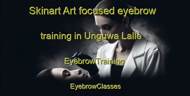 Skinart Art-focused eyebrow training in Unguwa Lalle | EyebrowTraining | EyebrowClasses | SkinartTraining-Nigeria
