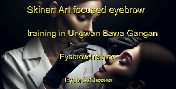 Skinart Art-focused eyebrow training in Ungwan Bawa Gangan | EyebrowTraining | EyebrowClasses | SkinartTraining-Nigeria