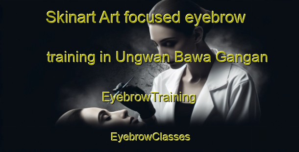 Skinart Art-focused eyebrow training in Ungwan Bawa Gangan | EyebrowTraining | EyebrowClasses | SkinartTraining-Nigeria