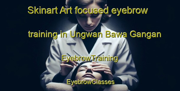 Skinart Art-focused eyebrow training in Ungwan Bawa Gangan | EyebrowTraining | EyebrowClasses | SkinartTraining-Nigeria
