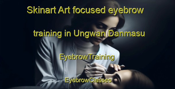 Skinart Art-focused eyebrow training in Ungwan Danmasu | EyebrowTraining | EyebrowClasses | SkinartTraining-Nigeria